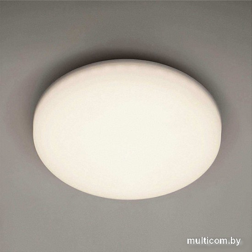 Точечный светильник LED4U 317-18W