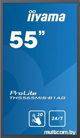 Информационная панель Iiyama ProLite TH5565MIS-B1AG