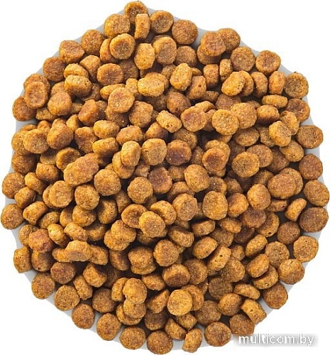 Сухой корм для собак Hill's Science Plan Adult Small & Mini Sensitive Stomach & Skin 3 кг