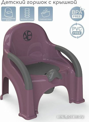 Детский горшок Amarobaby Baby chair AB221105BCh/22 (фиолетовый)