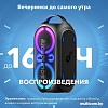 Колонка для вечеринок Anker Rave Party 2