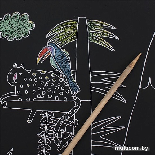 Гравюра Darvish DV-14415