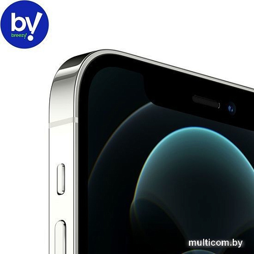 Смартфон Apple iPhone 12 Pro 128GB Восстановленный by Breezy, грейд C (серебристый)