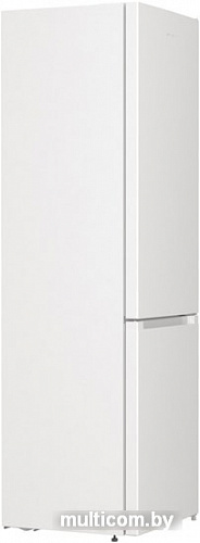 Холодильник Gorenje RK6201EW4