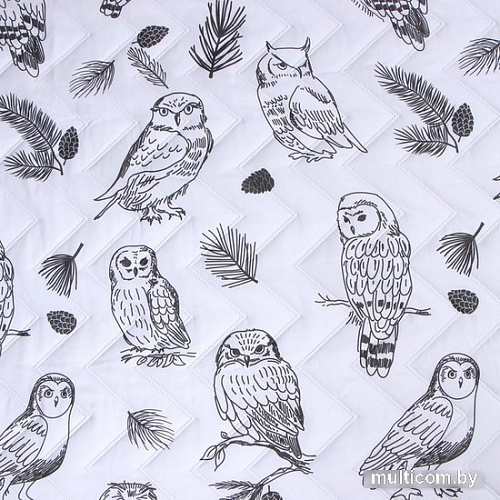 Покрывало Love Life Owls 2.0 9629509 (180x210)