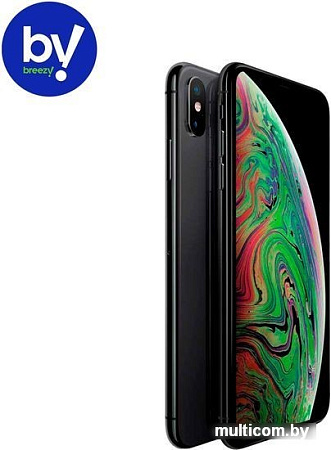 Apple iPhone XS 64GB Воcстановленный by Breezy, грейд A (серый космос)