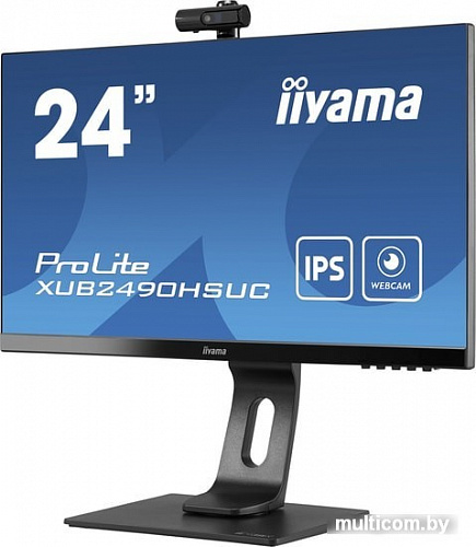 Монитор Iiyama ProLite XUB2490HSUC-B1