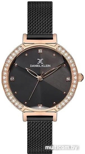 Наручные часы Daniel Klein DK12848-3