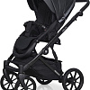 Универсальная коляска Riko Basic Delta Ecco (2 в 1, 15/black)