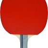 Ракетка для настольного тенниса Double Fish CK-107