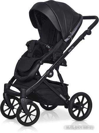 Универсальная коляска Riko Basic Delta Ecco (2 в 1, 15/black)