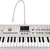 Синтезатор KORG microKORG2 MWH