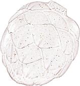 Тарелка обеденная Bordallo Pinheiro Artichoke White 65024058