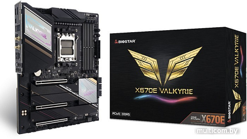Материнская плата BIOSTAR X670E Valkyrie Ver. 5.0