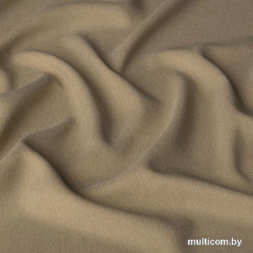 Комплект штор Pasionaria Каспиан 480x270 с подхватами (бежевый)