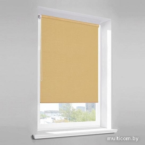 Рулонные шторы Lm Decor Лайт LM 30-07С 120x170