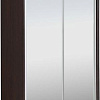 Шкаф-купе Рэйгрупп 138 VVX Elgon РГ-11.04 (венге/хром)