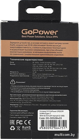 Сетевое зарядное GoPower 00-00028403