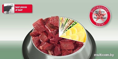 Сухой корм для собак Platinum Adult Beef & Potato 5 кг