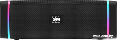 Беспроводная колонка Soundmax SM-PS5019B (черный)