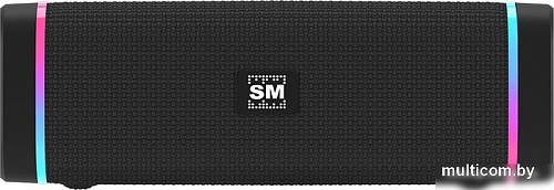 Беспроводная колонка Soundmax SM-PS5019B (черный)