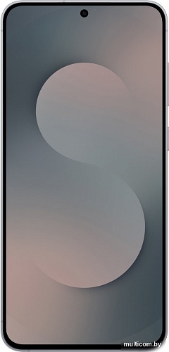 Телефон Samsung Galaxy S25 FE SM-S731B 8GB/512GB (черный)