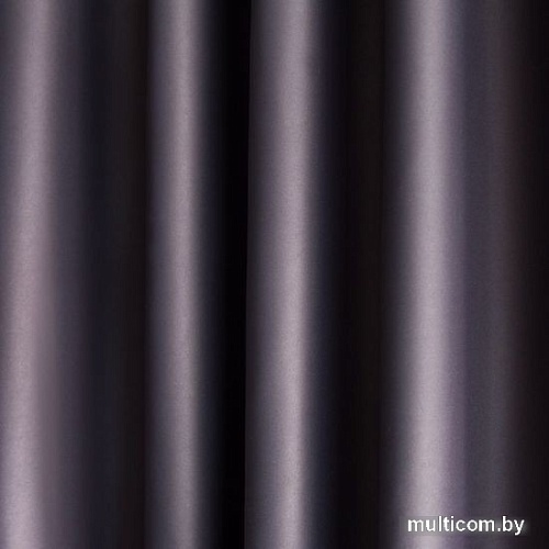 Комплект штор Pasionaria Блэквуд 280x260 (черный)