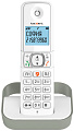 Радиотелефон TeXet TX-D5605A (белый)