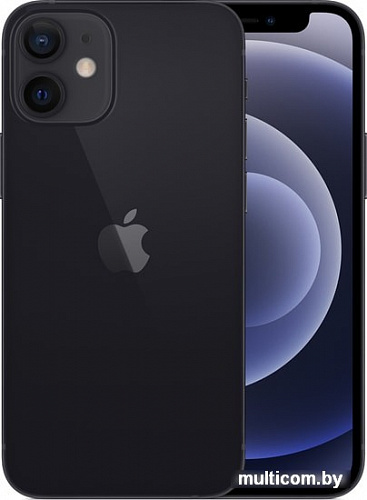 Смартфон Apple iPhone 12 mini 256GB (черный)
