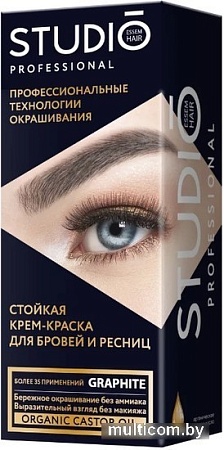 Краска Studio Professional стойкая 80 мл (графит)