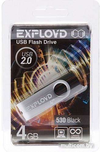 USB Flash Exployd 530 4GB (черный)