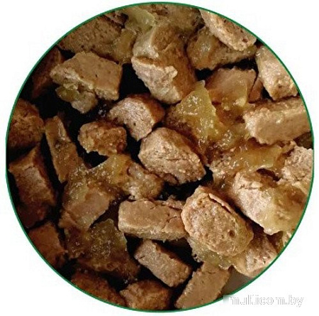Сухой корм для собак Frais Holistic Dog мясные кусочки с телятиной в желе (420г)