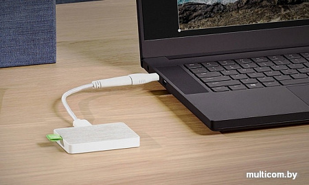 Внешний накопитель Seagate Ultra Touch STJW1000400 1TB