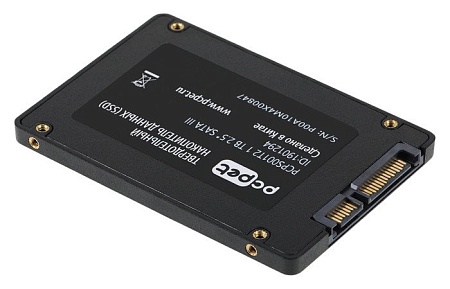 SSD PC Pet 1TB PCPS001T2