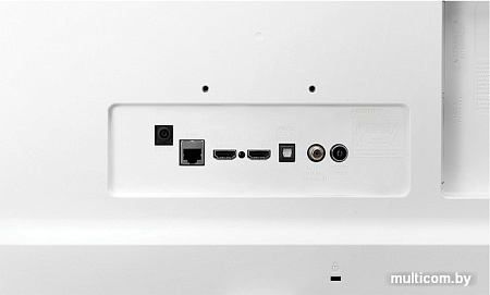 Телевизор LG 24TQ510S-WZ