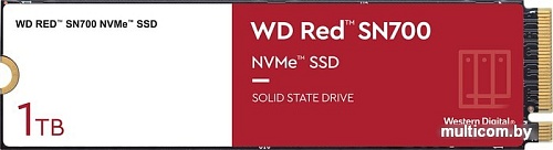 SSD WD Red SN700 1TB WDS100T1R0C