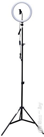 Кольцевая лампа Rekam RL-20