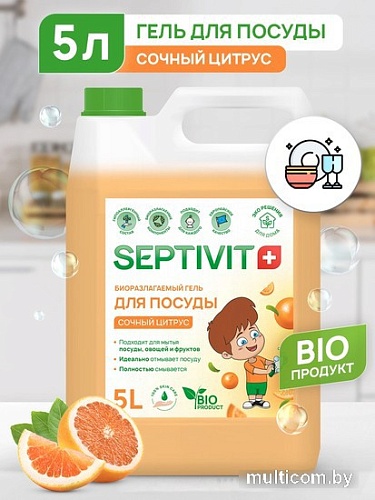 Средство для мытья посуды Septivit Сочный Цитрус (5 л)