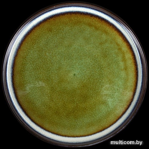 Тарелка обеденная Corone Verde HL482490 фк0730