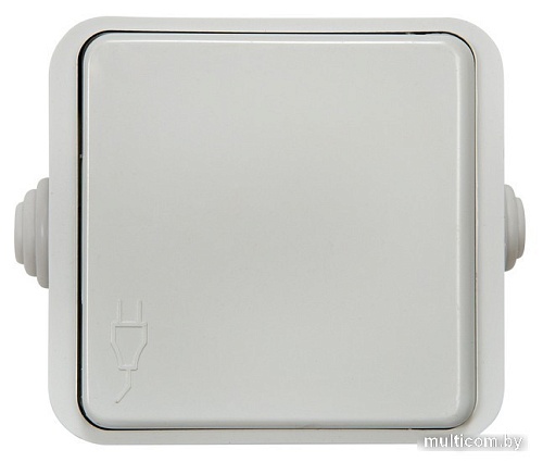 Розетка In Home Aqua 3110 4690612000541