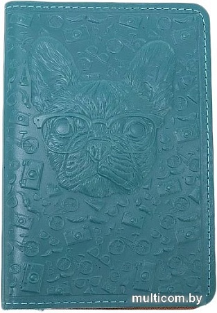 Обложка для паспорта Poshete 681-OP0106151-BIR (бирюзовый)