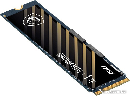 SSD MSI Spatium M450 1TB S78-440L980-P83