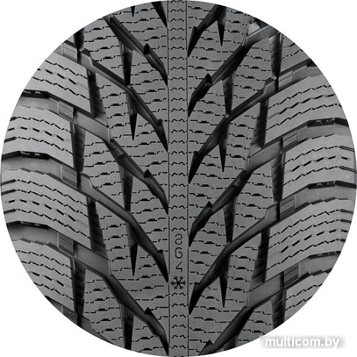 Автомобильные шины Nokian Hakkapeliitta R3 225/45R17 91T (run-flat)