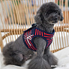 Шлейка Puppia Briton PAUA-HB1829-RD-XL (красный)