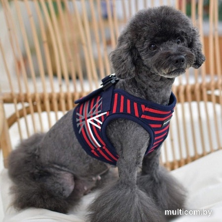 Шлейка Puppia Briton PAUA-HB1829-RD-XL (красный)