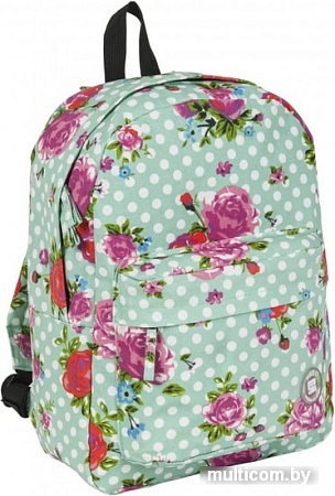 Рюкзак Paso 17-780M