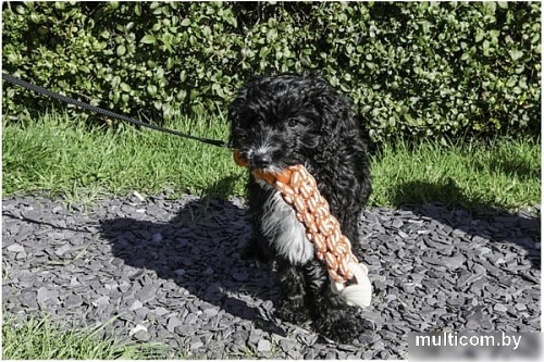 Игрушка для собак Rosewood Tough Twist Textured Fish 40217