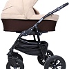 Универсальная коляска Smile Line Serenade 20 (2 в 1, Se 24)