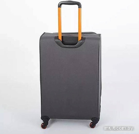 Чемодан-спиннер Francesco Molinary 270-29111/3-24 (серый)