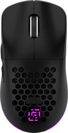 Игровая мышь Oklick 900GMW (черный)